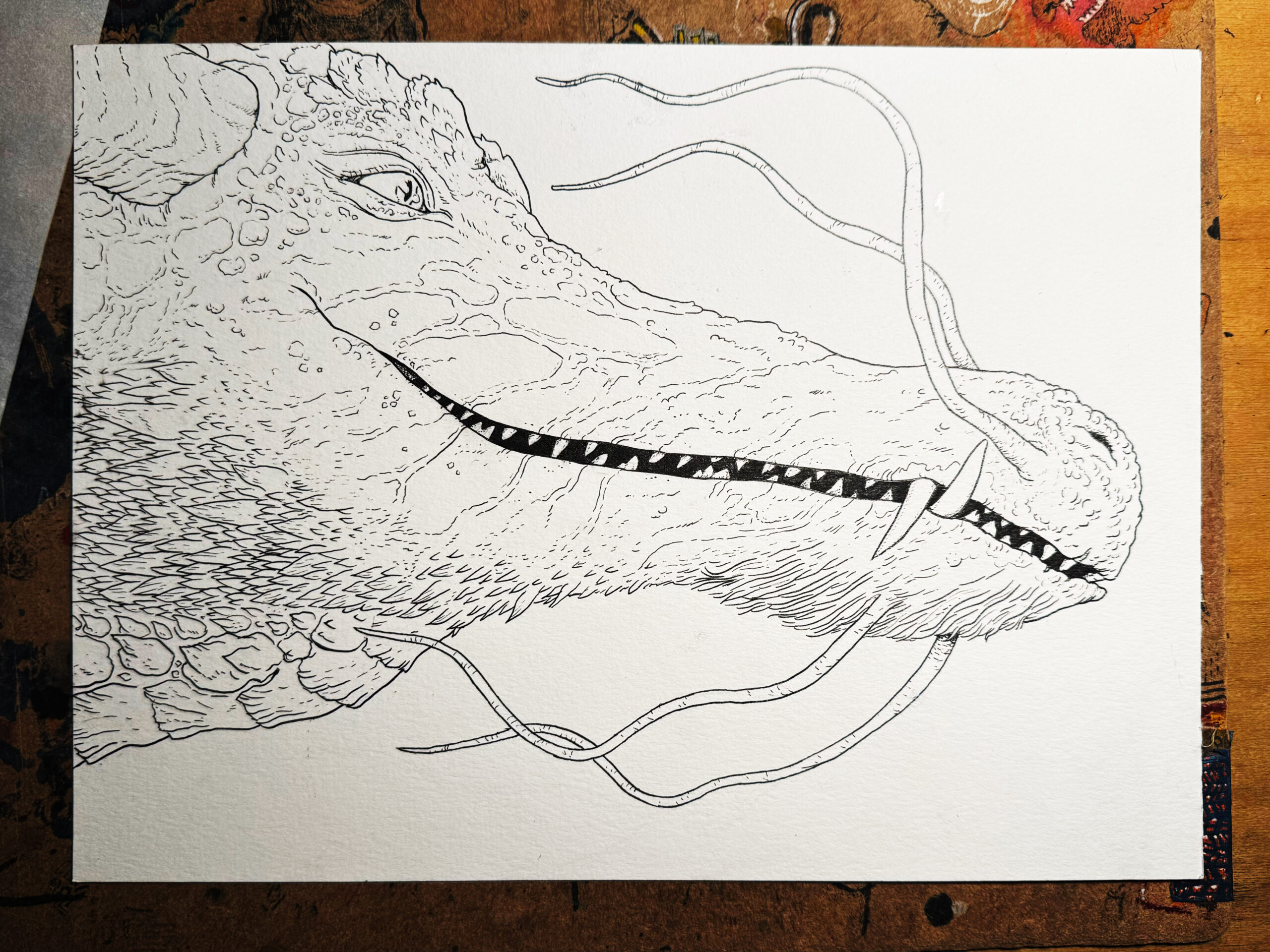 pen and ink drawing of a dragon's head